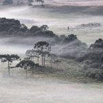 Colisão na BR-470 em Rio do Sul Deixa Três Feridos