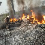 Banco Central Informa Vazamento de Dados de 8 Mil Chaves Pix