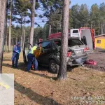 Homem morre esmagado por árvore enquanto trabalhava em Tijucas