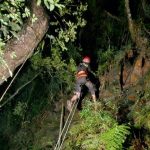 Motociclista Morre em Colisão com Caminhão na BR-470