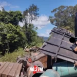 Cães em situação de maus-tratos são resgatados em Rio do Sul