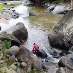 Vídeo: Auto elétrica moacir e filhos e borracharia dois irmãos são alvos de furto em Pouso Redondo