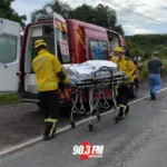 Cobra Jararaca é capturada em residência no bairro santo antônio, em Ituporanga