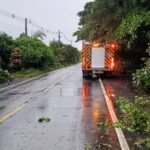 Ação conjunta apreende caminhão com 500 caixas de vinhos Argentinos na BR-470