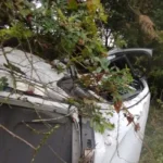 Homem é morto com 11 tiros na serra catarinense