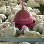 Furto de quatro veículos é registrado em Pouso Redondo