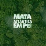 Escavadeira é destruída por incêndio em Rio do Campo