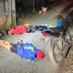 Motorista fica ferido após tombamento de carreta na BR-470 em Ibirama