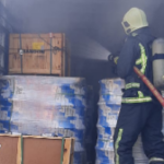 Polícia Civil encontra pés de maconha em plantação de cebola em Ituporanga