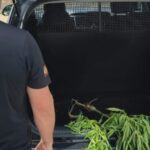 Caminhão pega fogo às margens da BR-470 em Ibirama