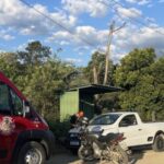 Polícia Civil encontra pés de maconha em plantação de cebola em Ituporanga