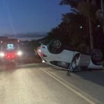 Homem é preso por maus-tratos a cachorro em Rio do Sul