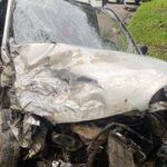 Vídeo: Onça-parda é avistada no Centro de Taió e Defesa Civil reforça alerta à população