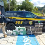 Saída de pista é registrada na BR-470 em Trombudo Central